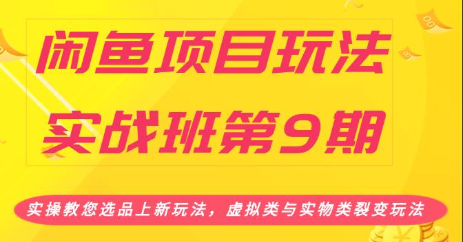 闲鱼项目玩法实战班（一）实操教您选品上新玩法，虚拟类与实物类裂变玩法(2小时无水印)-一课资源