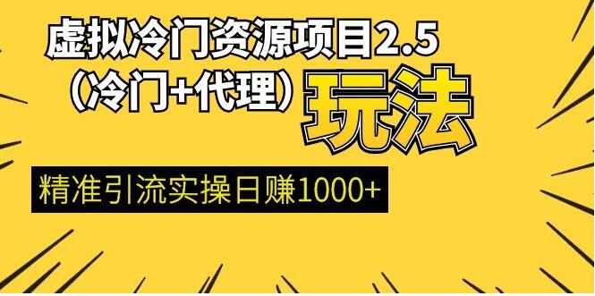 虚拟冷门资源项目（冷门及代理玩法） 精准引流实操日赚1000+(完结)-一课资源