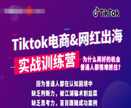 零基础学习抖音国际版TikTok海外短视频新手实战训练营【视频课】-一课资源