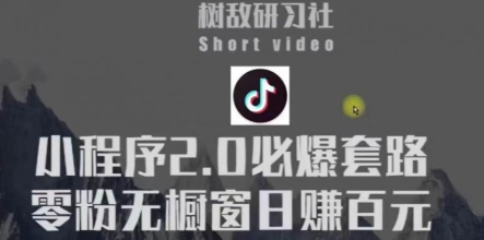 树敌研习社6月抖音赚钱课程：抖音小程序2.0必爆套路零粉无橱窗日赚百元玩法-一课资源