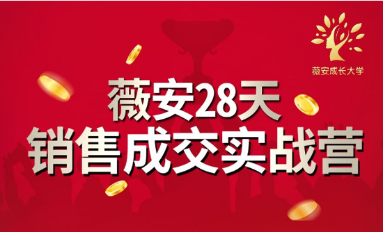 薇安28天销售成交实战营，5分钟成交3万，实现了月入近6位数的营收-一课资源