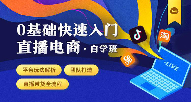 0基础快速入门直播电商课程：直播平台玩法解析-团队打造-带货全流程等环节-一课资源