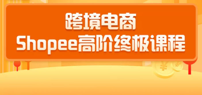 2020跨境电商蓝海新机会-SHOPEE大卖特训营：高阶终极课程（16节课）-一课资源