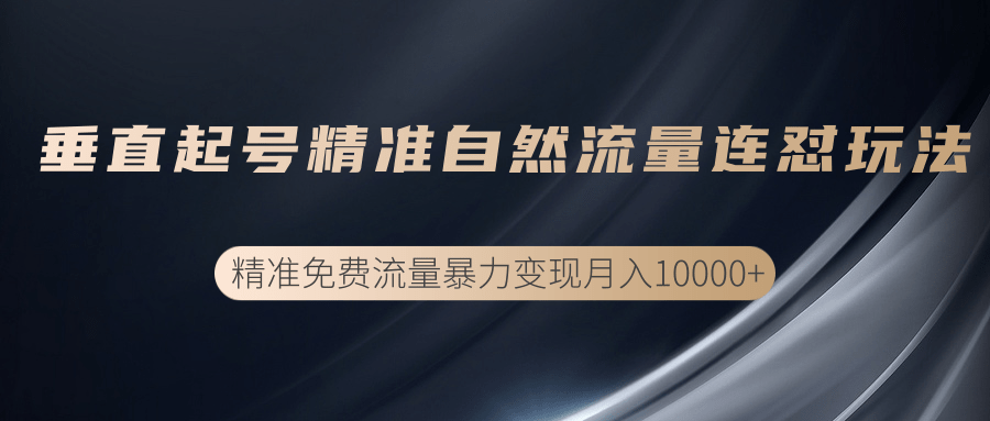 垂直起号精准自然流量连爆玩法，精准引流暴力变现月入10000+-一课资源