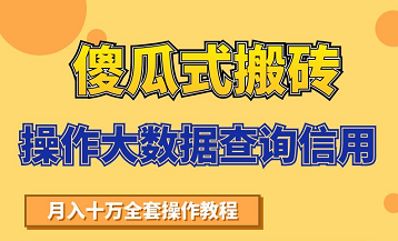 搬砖操作大数据查询信用项目赚钱教程，祝你快速月入6万-一课资源