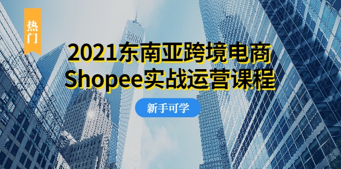 2021东南亚跨境电商Shopee实战运营课程，0基础、0经验、0投资的副业项目-一课资源