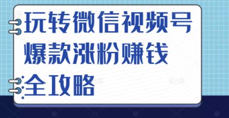 玩转微信视频号爆款涨粉赚钱全攻略，让你快速抓住流量风口，收获红利财富-一课资源