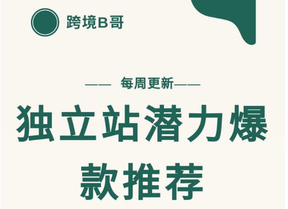 【跨境B哥】独立站潜力爆款选品推荐，测款出单率高达百分之80-一课资源