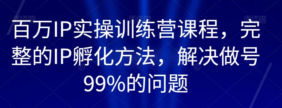 百万IP实操训练营课程，完整的IP孵化方法，解决做号99%的问题-一课资源