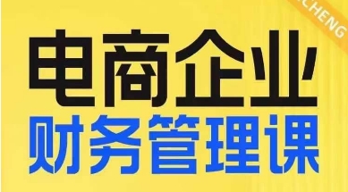 电商企业财务管理线上课，为电商企业规划财税-一课资源