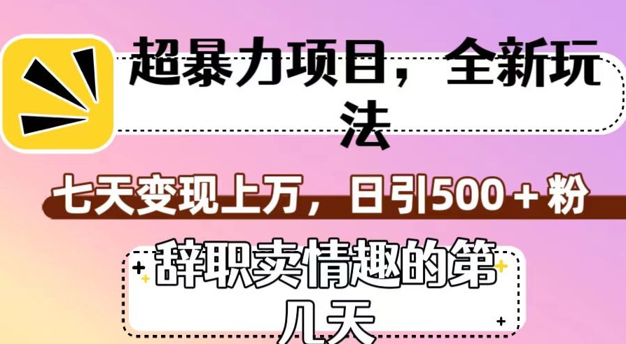 超暴利项目，全新玩法（辞职卖情趣的第几天），七天变现上万，日引500+粉【揭秘】-一课资源