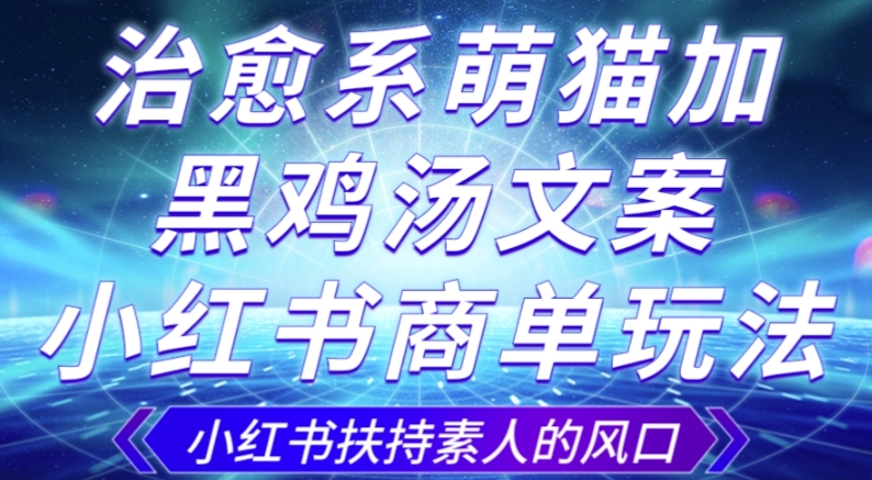 治愈系萌猫加+黑鸡汤文案，小红书商单玩法，3~10天涨到1000粉，一单200左右-一课资源