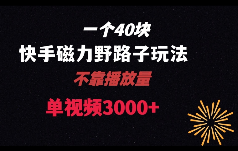 一个40块，快手联合美团磁力新玩法，无视机制野路子玩法，单视频收益4位数【揭秘】-一课资源