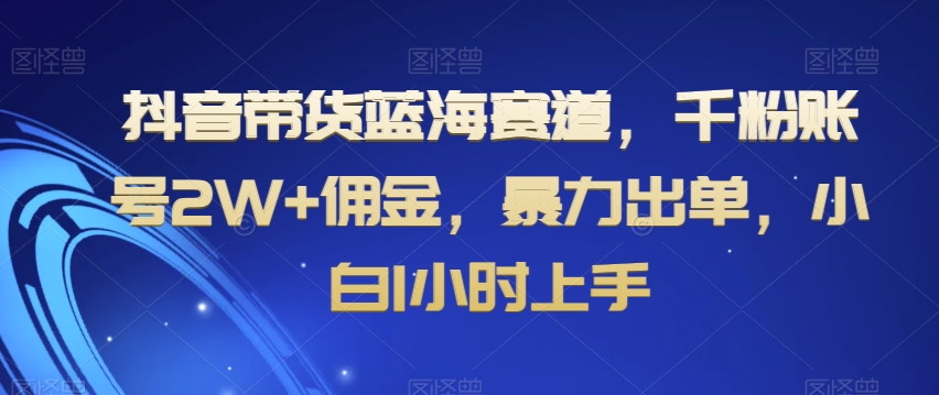 抖音带货蓝海赛道，千粉账号2W+佣金，暴力出单，小白1小时上手【揭秘】-一课资源