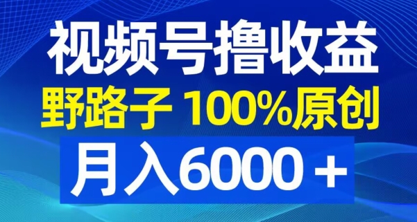 视频号野路子撸收益，100%原创，条条爆款，月入6000＋【揭秘】-一课资源