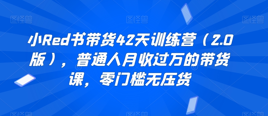 小Red书带货42天训练营（2.0版），普通人月收过万的带货课，零门槛无压货-一课资源