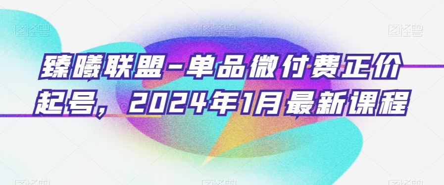 臻曦联盟-单品微付费正价起号，2024年1月最新课程-一课资源