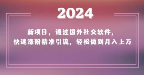 2024新项目，通过国外社交软件，快速涨粉精准引流，轻松做到月入上万【揭秘】-一课资源