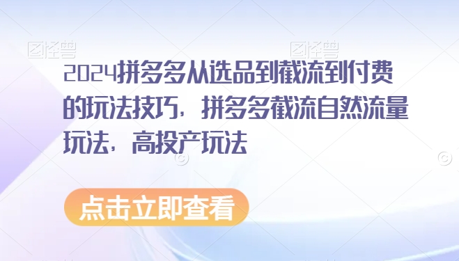 2024拼多多从选品到截流到付费的玩法技巧，拼多多截流自然流量玩法，高投产玩法-一课资源