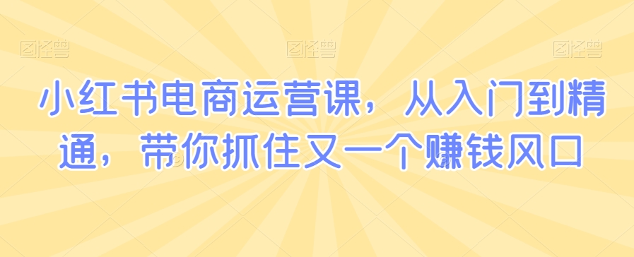 小红书电商运营课，从入门到精通，带你抓住又一个赚钱风口-一课资源