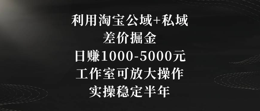 利用淘宝公域+私域差价掘金，日赚1000-5000元，工作室可放大操作，实操稳定半年【揭秘】-一课资源