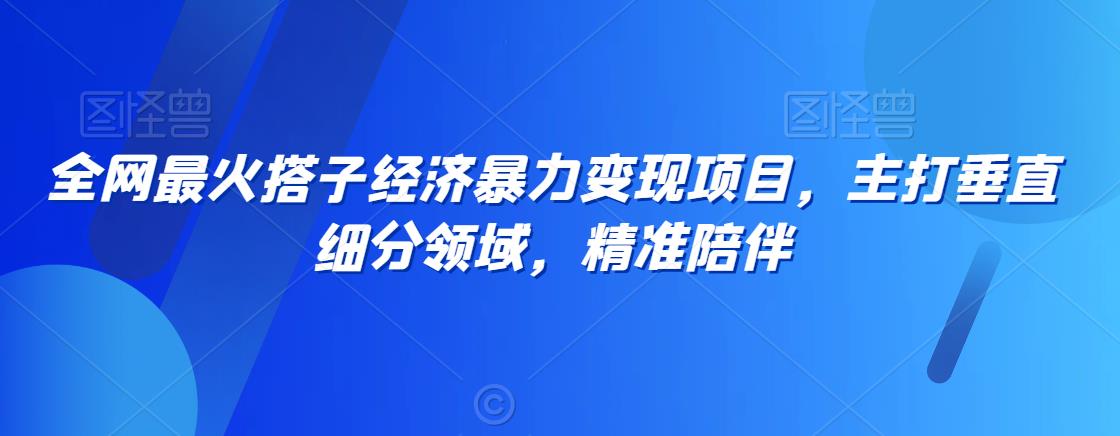 全网最火搭子经济暴力变现项目，主打垂直细分领域，精准陪伴【揭秘】-一课资源