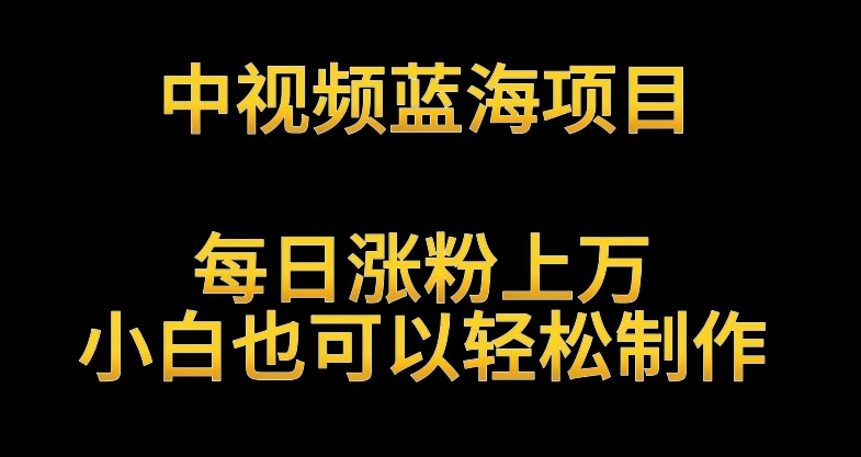 中视频蓝海项目，解读英雄人物生平，每日涨粉上万，小白也可以轻松制作，月入过万不是梦【揭秘】-一课资源