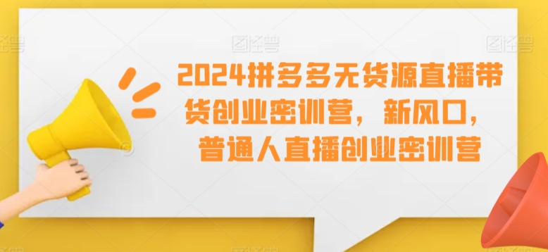 2024拼多多无货源直播带货创业密训营，新风口，普通人直播创业密训营-一课资源