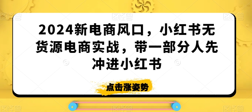 2024新电商风口，小红书无货源电商实战，带一部分人先冲进小红书-一课资源