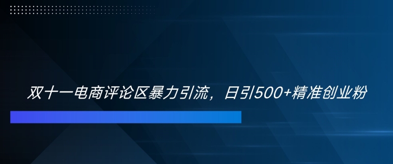 双十一电商评论区暴力引流，日引500+精准创业粉【揭秘】-一课资源